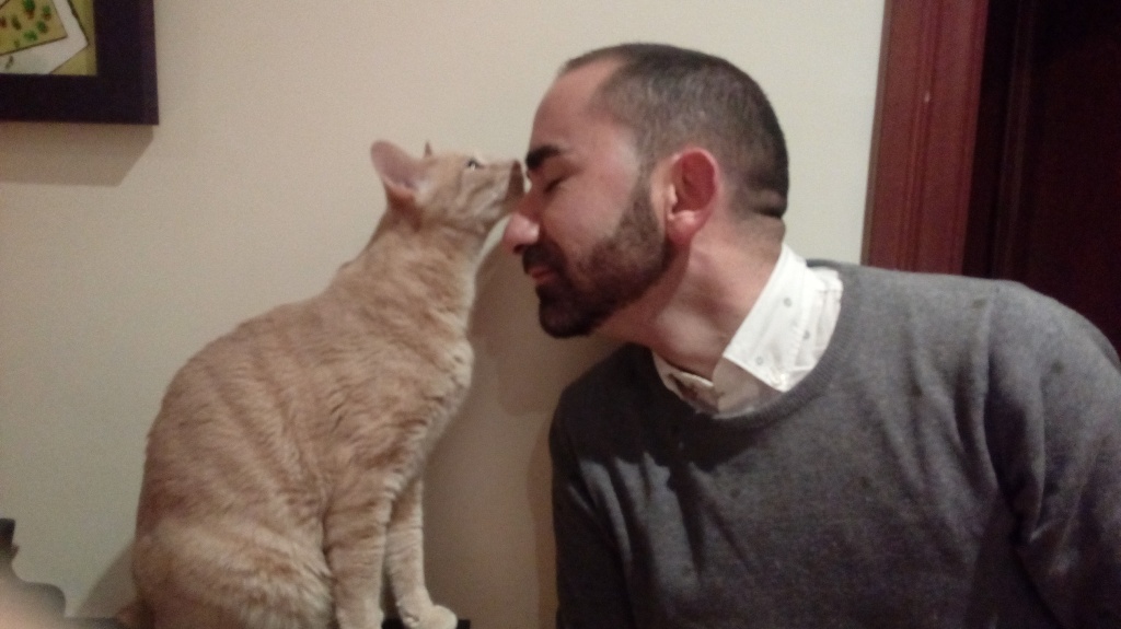 gato - Rehafivet